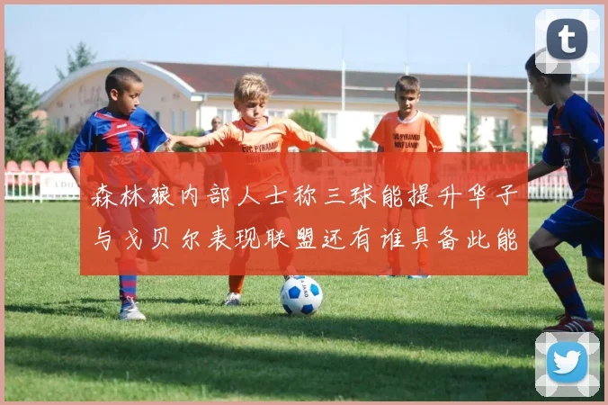 森林狼内部人士称三球能提升华子与戈贝尔表现联盟还有谁具备此能力