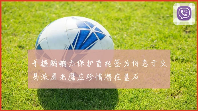 手握鹈鹕无保护首轮签为何急于交易浓眉老鹰应珍惜潜在基石