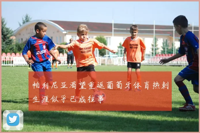 帕利尼亚渴望重返葡萄牙体育热刺生涯似乎已成往事