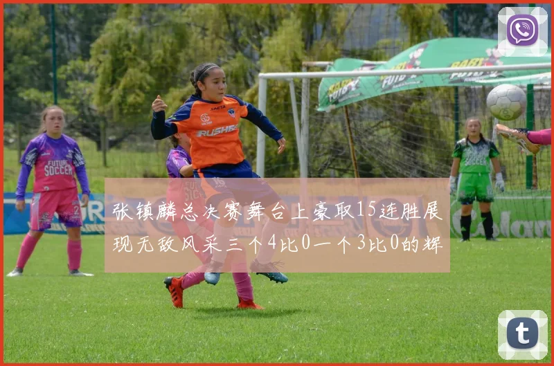 张镇麟总决赛舞台上豪取15连胜展现无敌风采三个4比0一个3比0的辉煌战绩
