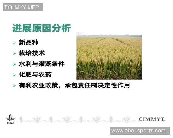 广西平果撤销准入资格湖北青年星递补和债务清偿审查进展分析